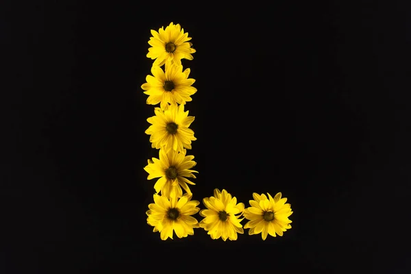 Vue de dessus des marguerites jaunes disposées en lettre L isolées sur noir — Photo de stock