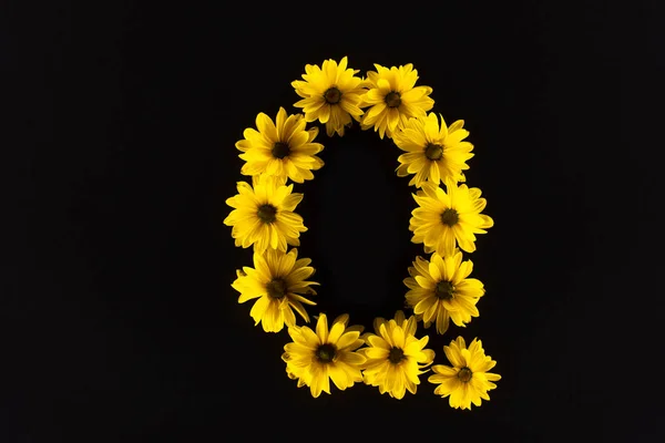 Vue de dessus des marguerites jaunes disposées en lettre Q isolées sur noir — Photo de stock