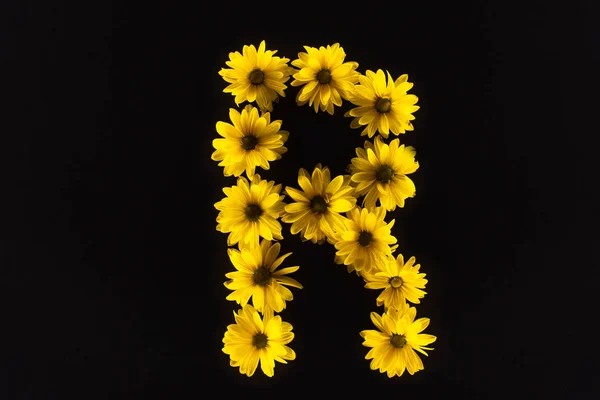 Vue de dessus des marguerites jaunes disposées en lettre R isolées sur noir — Photo de stock