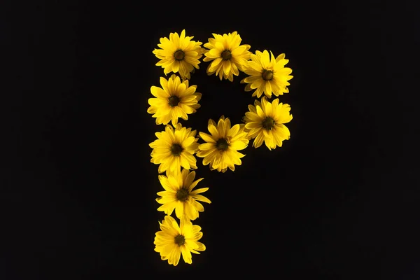 Vue de dessus des marguerites jaunes disposées en lettre P isolées sur noir — Photo de stock