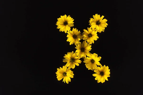 Top view of yellow daisies arranged in letter X isolated on black — Stock Photo