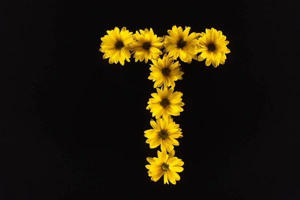 Vista superior de las margaritas amarillas dispuestas en letra T aislada sobre negro - foto de stock