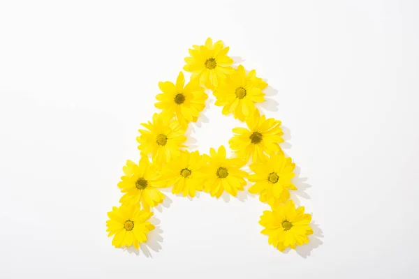 Top view of yellow daisies arranged in letter A on white background — Stock Photo