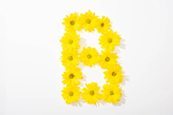 Top view of yellow daisies arranged in letter B on white background — Stock Photo