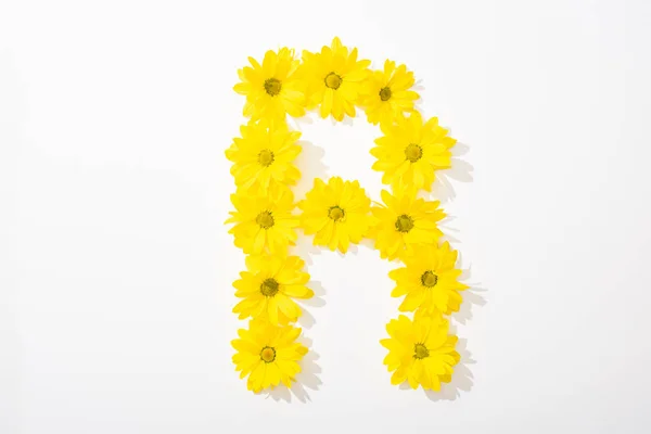 Top view of yellow daisies arranged in letter R on white background — Stock Photo