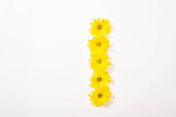 Top view of yellow daisies arranged in letter I on white background — Stock Photo