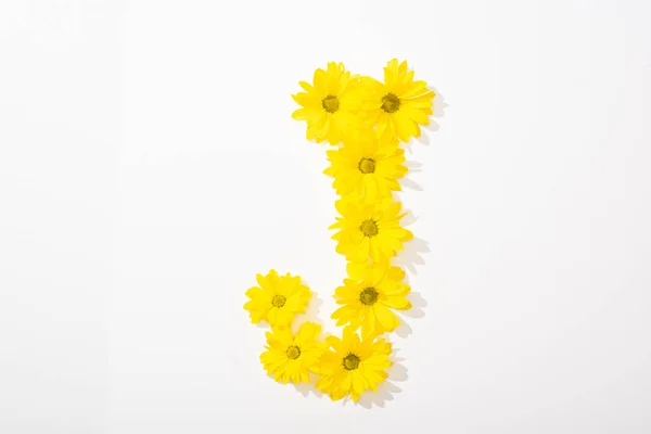 Top view of yellow daisies arranged in letter J on white background — Stock Photo