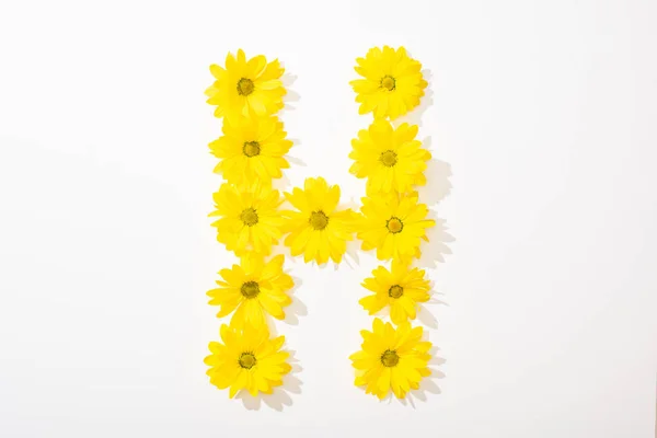 Vue du dessus des marguerites jaunes disposées en lettre H sur fond blanc — Photo de stock
