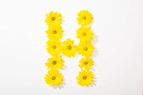 Top view of yellow daisies arranged in letter H on white background — Stock Photo