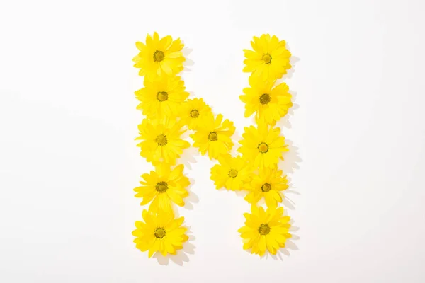 Vue du dessus des marguerites jaunes disposées en lettre N sur fond blanc — Photo de stock
