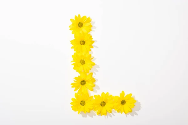 Top view of yellow daisies arranged in letter L on white background — Stock Photo