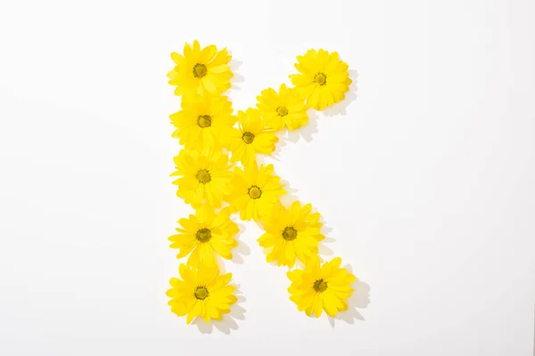 Top view of yellow daisies arranged in letter K n white background — Stock Photo