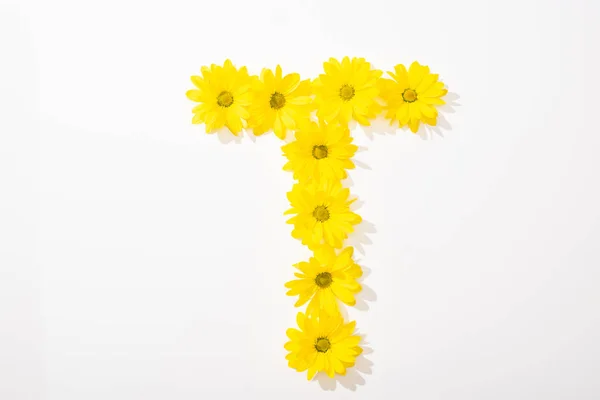 Вид зверху на жовті ромашки, розташовані в букві Т на білому тлі — стокове фото