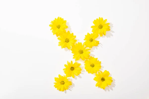 Вид сверху на желтые маргаритки, выстроенные буквой X на белом фоне — стоковое фото