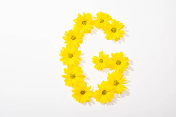 Vue du dessus des marguerites jaunes disposées en lettre G sur fond blanc — Photo de stock