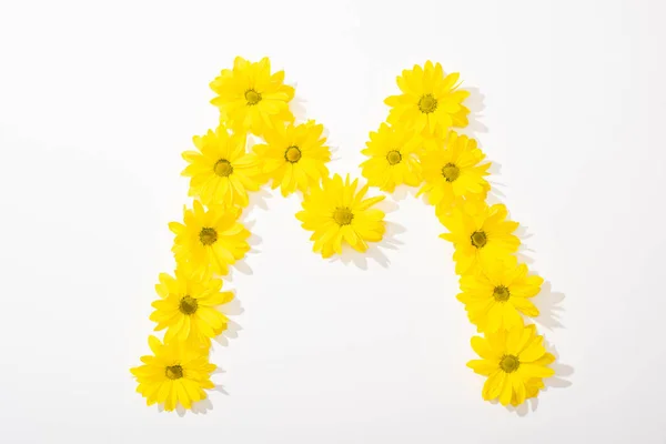 Вид сверху на желтые маргаритки, выстроенные буквой М на белом фоне — стоковое фото
