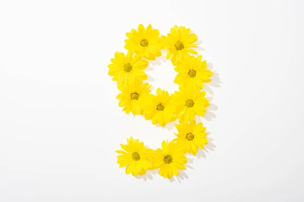 Top view of yellow daisies arranged in number 9 on white background — Stock Photo