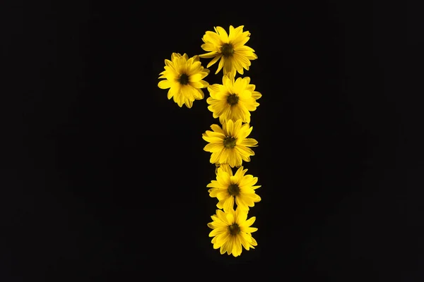 Ansicht von oben von gelben Gänseblümchen in Nummer 1 isoliert auf schwarz angeordnet — Stockfoto