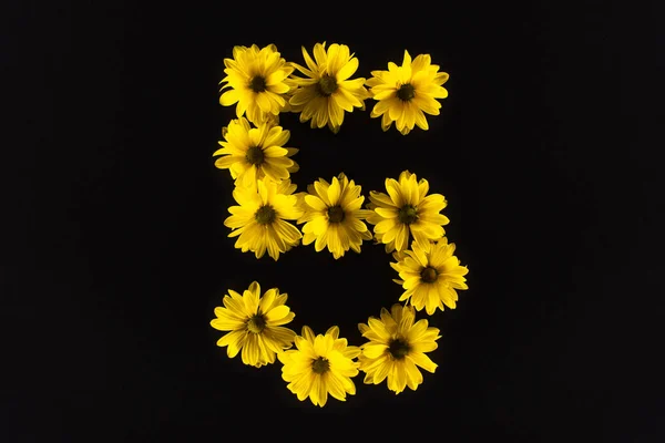 Top view of yellow daisies arranged in number 5 isolated on black — Stock Photo