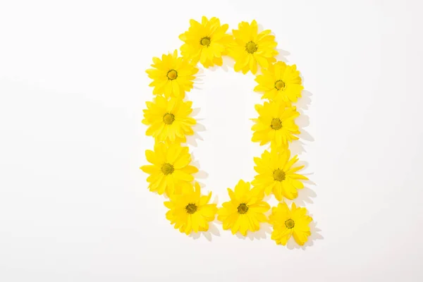 Vue du dessus des marguerites jaunes disposées en lettre O sur fond blanc — Photo de stock