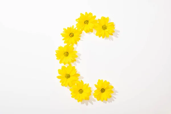 Top view of yellow daisies arranged in letter C on white background — Stock Photo