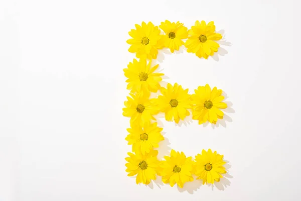 Vue du dessus des marguerites jaunes disposées en lettre E sur fond blanc — Photo de stock