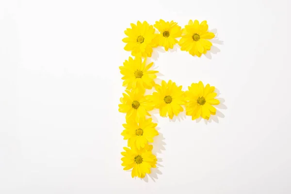 Vue du dessus des marguerites jaunes disposées en lettre F sur fond blanc — Photo de stock