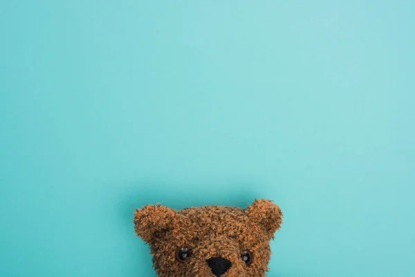Вид зверху на плюшевого ведмедя на синьому — стокове фото