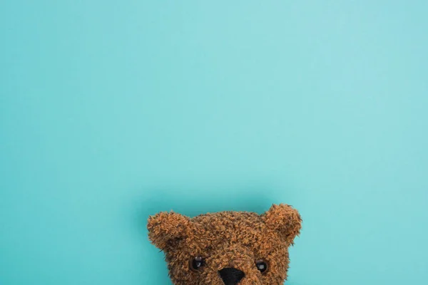 Вид зверху на коричневого плюшевого ведмедя на синьому — стокове фото