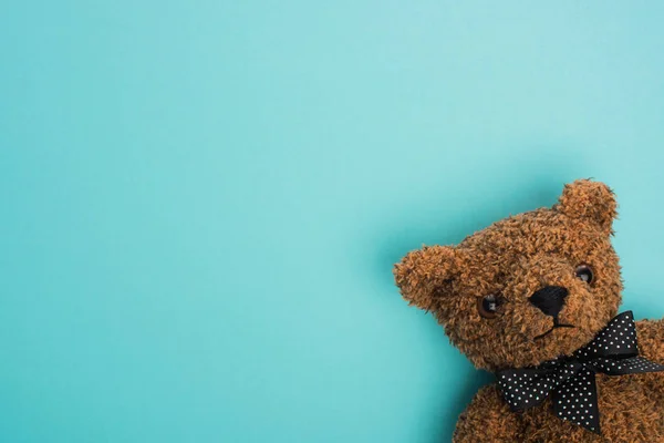 Top view of brown teddy bear on blue background — Stock Photo
