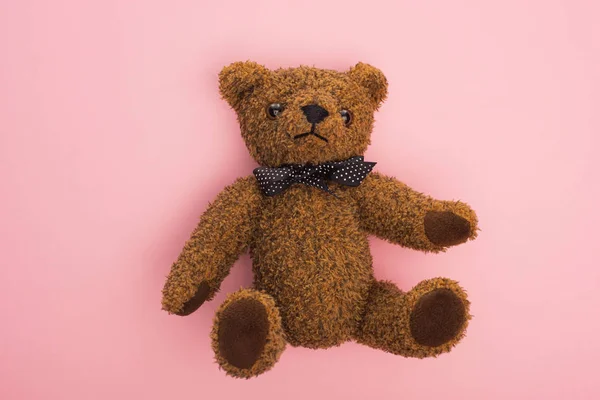 Top view of brown teddy bear with bow on pink background — Stock Photo