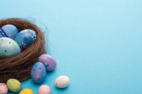 Nido y coloridos huevos de pollo y codorniz sobre fondo azul - foto de stock