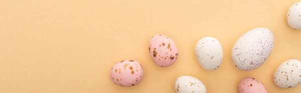 Panoramic shot of quail eggs on beige background — Stock Photo