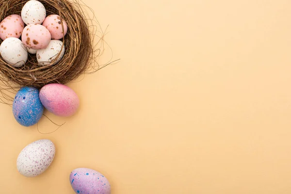 Верхний вид гнезда с разноцветными перепелиными и куриными яйцами на бежевом фоне — стоковое фото