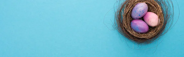 Top view of nest with purple Easter eggs on blue background, panoramic shot — Stock Photo