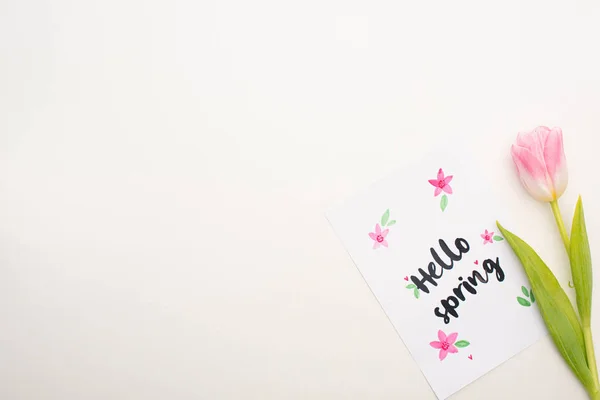 Top view of pink tulip near card with hello spring lettering on white background — Stock Photo