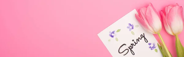 Top view of tulips and card with spring lettering on pink background, panoramic shot — Stock Photo