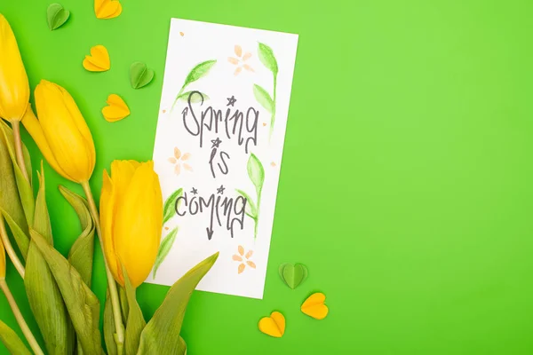 Top view of yellow tulips, card with spring is coming lettering and decorative hearts on green background — Stock Photo
