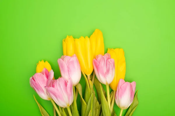Vista superior de tulipanes rosados y amarillos sobre fondo verde, concepto primavera - foto de stock