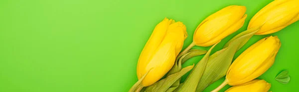 Foto panorámica de tulipanes amarillos y corazón decorativo en verde, concepto de primavera - foto de stock