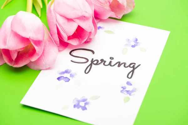 Close up of pink tulips and card with spring lettering on green background — Stock Photo