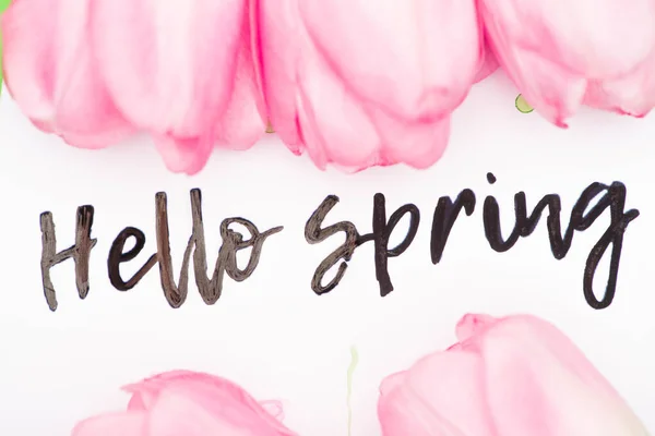 Top view of hello spring lettering with pink tulips on white background — Stock Photo