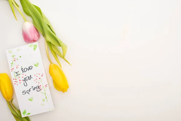 Top view of tulips and card with I love you spring lettering on white background — Stock Photo