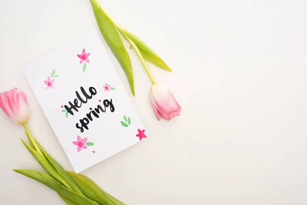 Vista superior de tulipanes y tarjeta con letras hola primavera sobre fondo blanco - foto de stock
