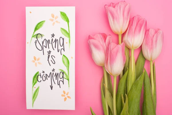 Vista superior de los tulipanes y la tarjeta con la primavera está llegando con letras en el fondo rosa - foto de stock