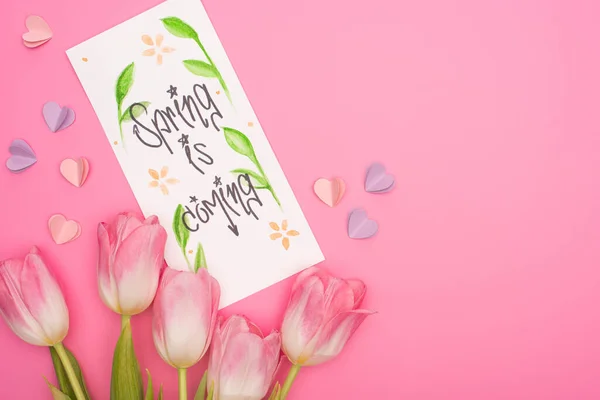 Vista dall'alto di tulipani, carta con la primavera sta arrivando lettering e cuori decorativi su rosa — Foto stock