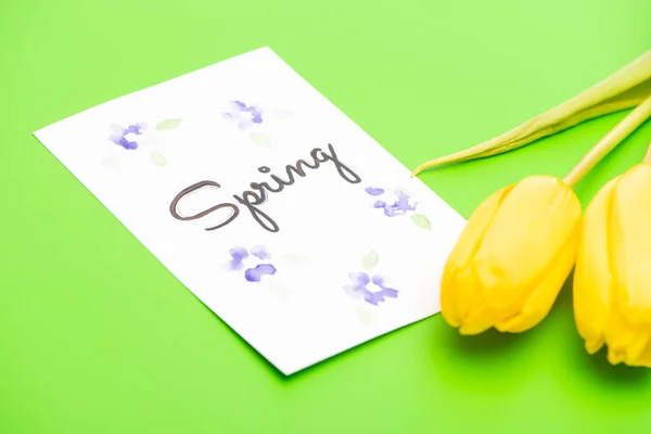 Card with spring lettering and yellow tulips on green background — Stock Photo