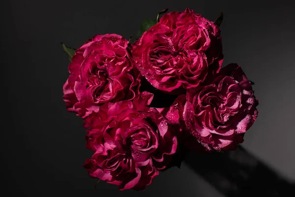 Strauß roter Rosen mit Wassertropfen auf schwarzem Hintergrund — Stockfoto