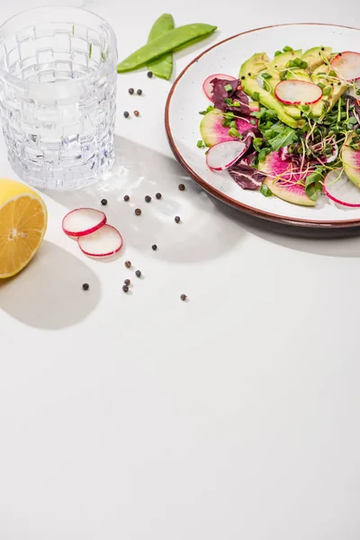 Ensalada de rábano fresco con verduras y aguacate en el plato en la superficie blanca con agua, limón - foto de stock