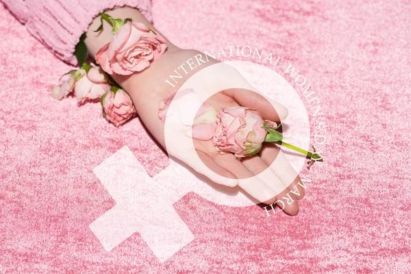 Cropped view of woman holding roses on velour pink cloth, international womens day illustration — Stock Photo